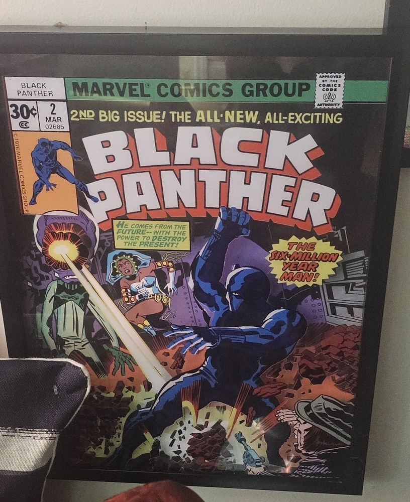 Black Panther Wall Art X 2